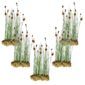 Dwerglisdodde 100 planten