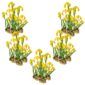 Gele Lis 100 planten