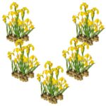 Gele Lis 100 planten