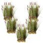 Lisdodde 100 planten