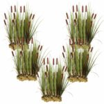 Lisdodde 100 planten