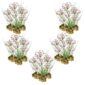 Zwanenbloem 100 planten