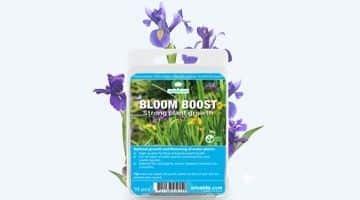 bloom-boost Bloom Boost