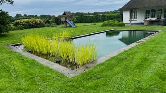 Planten groeien nu veel beter en water is kraakhelder