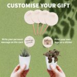 Mini-Plantjes-met-Potjes-100-stuks-met-Kaartjes-en-Stokjes-2