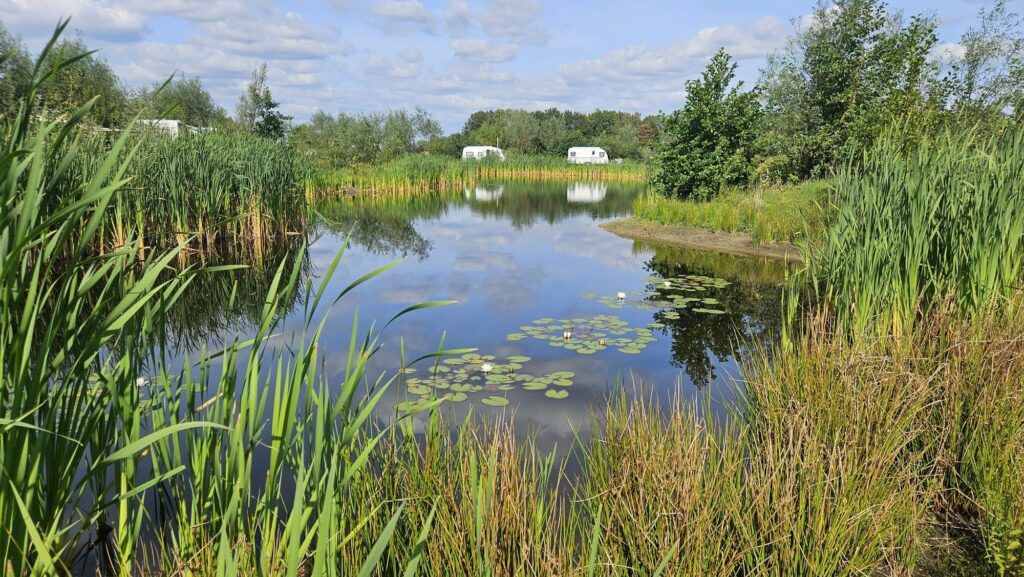 Grote waterpartij vijver Stor vandanlæg med dam