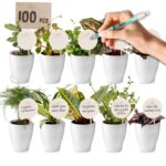 Giveaway Mini Plantjes 100