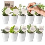 Concours : 100 mini-plantes grasses