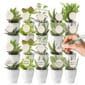 Giveaway Mini Vetplanten 20