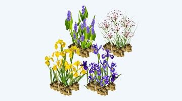 Alle moerasplanten