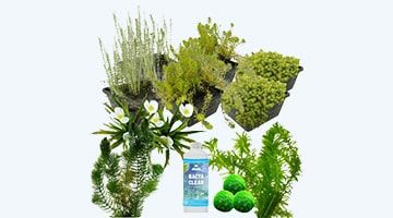 Zuurstofplanten pakketten