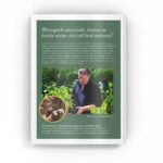 Simons-Asesoramiento sobre estanques-Libro-Neerlandés-Marimo oxigenante contra lasMarimo-3