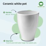 Giveaway-Mini-Plantjes-met-Potjes-100-stuks-met-Kaartjes-en-Stokjes-Kleine-Bedankjes-4