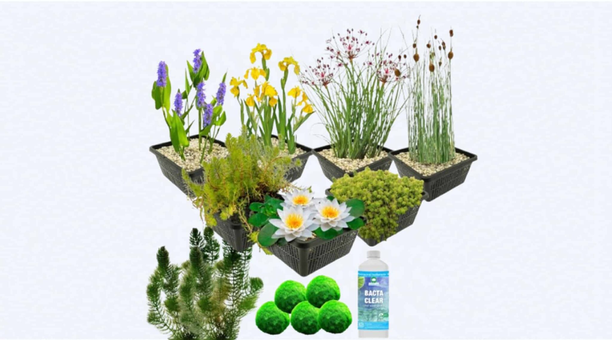 Waterplanten pakket wit M
