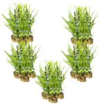 Egelskop 100 planten