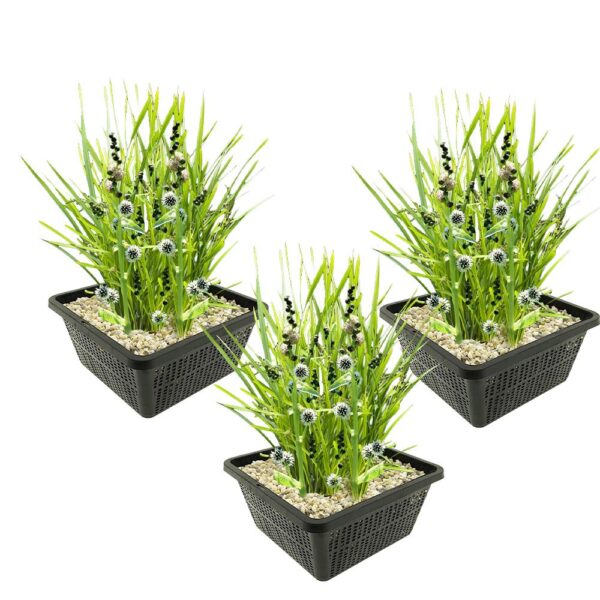 Egelskop 3 manden Sparganium cestas