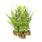 Egelskop 15 planten