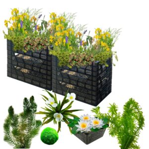Biofilter 2 torens + Zuurstofplanten en Waterlelies