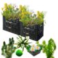 Biofilter 2 torens + Zuurstofplanten en Waterlelies