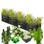 Biofilter 4 torens + Zuurstofplanten en Waterlelies