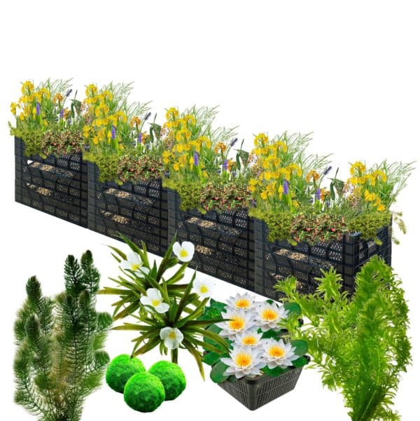 Biofilter 4 torens + Zuurstofplanten en Waterlelies Biofilter 4 torens + Zuurstofplanten en Waterlelies