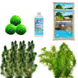 Spiegelvijver Onderwaterplanten 1.500-3.000L