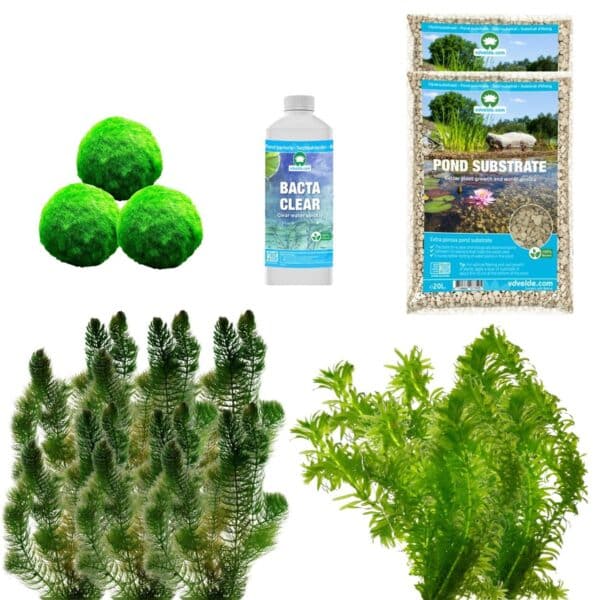 Spiegelvijver Onderwaterplanten 1.500-3.000L Spiegelvijver Onderwaterplanten 1.500-3.000L