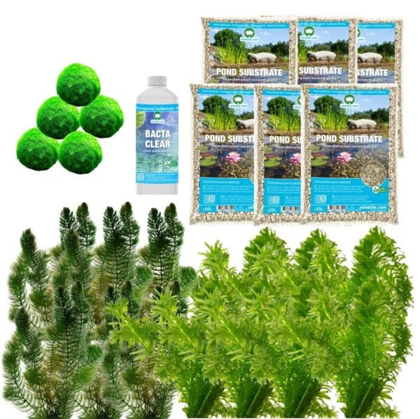 Spiegelvijver Onderwaterplanten 6.500-9.000L Spiegelvijver Onderwaterplanten 6.500-9.000L