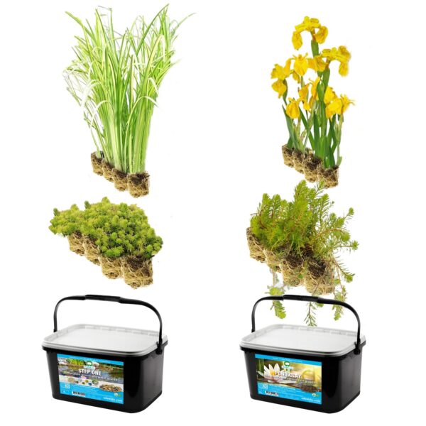 Vijverbak Randbeplanting 150L Vijverbak Randbeplanting 150L