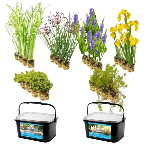 Vijverbak Randbeplanting 500L Beplantning langs kanten af en dam på 500 liter