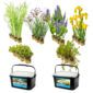 Vijverbak Randbeplanting 500L