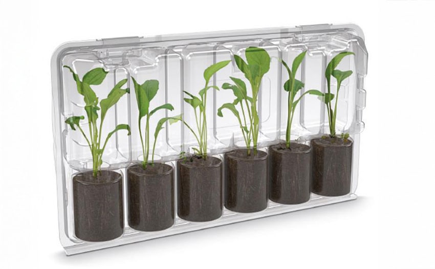 plug-planten-kweekmethode-3 plug plant kweekmethode