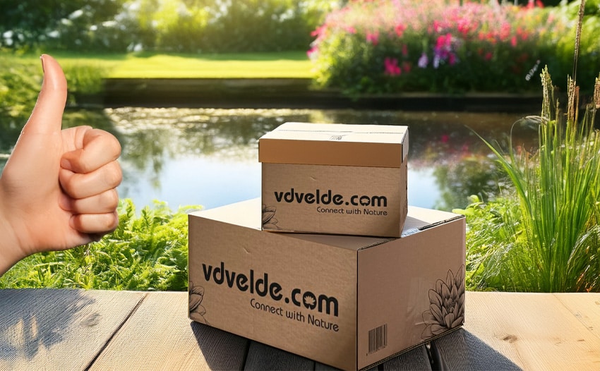 plug-planten-kweekmethode-4 plug plant kweekmethode