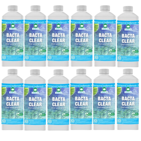 BACTA CLEAR Vijverbacteriën 240.000L BACTA CLEAR Bacterias de estanque 000 L