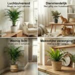 Luchtzuiverende-Planten-12-69058-4