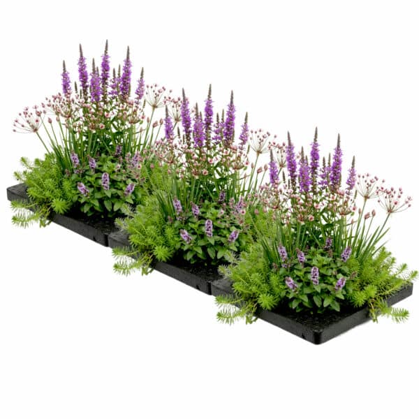 Anti Muggen Eiland 75x25cm Anti Muggen Eiland 75x25cm