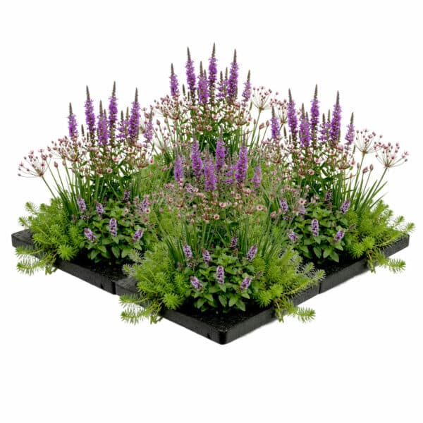 Anti Muggen Eiland 50x50cm Anti Muggen Eiland 50x50cm