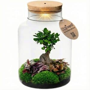 Bonsai in Glazen Pot