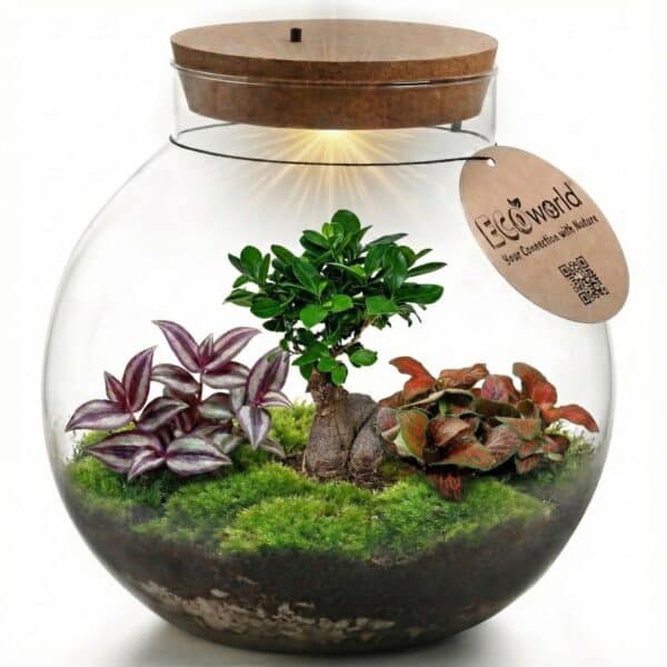 Bonsai Ecosysteem Bonsai Ecosysteem
