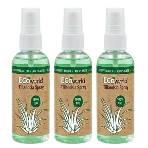 Tillandsia Spray Tillandsia Spray