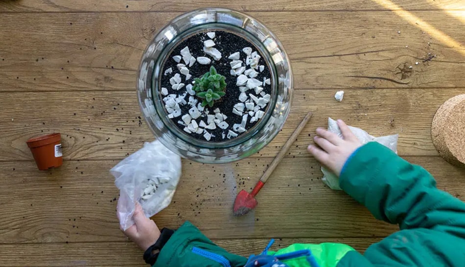 EcoWorld planten voor kinderen