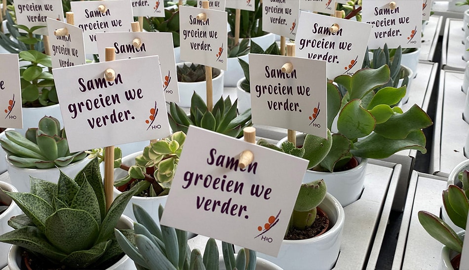 EcoWorld samen groeien we verder