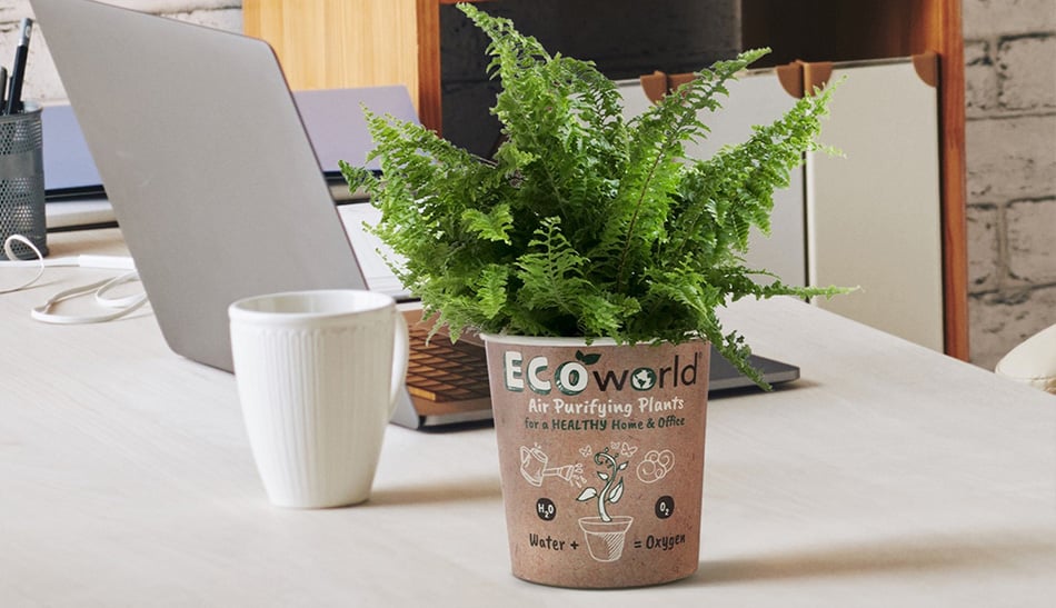 EcoWorld vergoen je werkplek