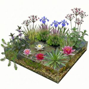Compleet Vijverpakket Multi 6.500-10.000L