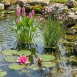 68018-1