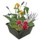 Mini vijverset Rood