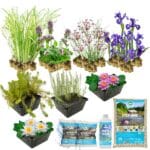 Komplettes Pflanzenfilter-Set für 4–7 m²