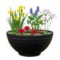 Mini Vijver Rood