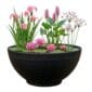 Mini Vijver Roze