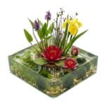 Compleet Vijverpakket Rood 25-90L